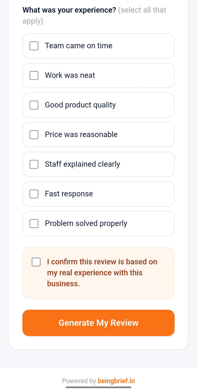 BeingBrief Review Assistant interface